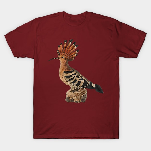 bird standing on a wood T-Shirt by maricetak